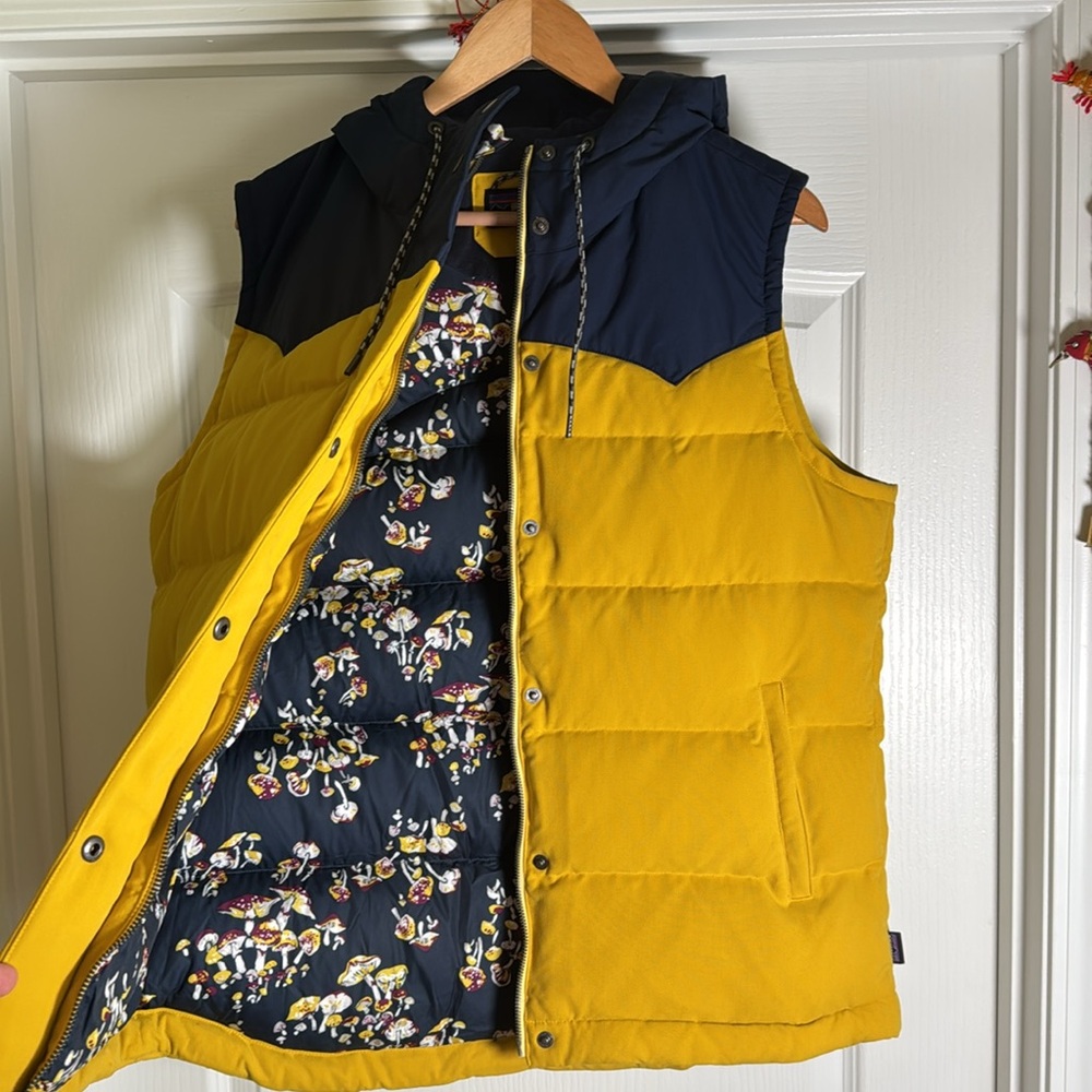 NWOT Patagonia Bivy Hooded Down Vest
